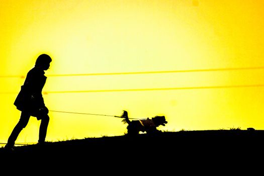 Silhouette of people sitting on the hill at dusk. Shooting Location: Mitaka City, Tokyo