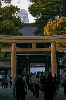 Image of Torii. Shooting Location: Tokyo metropolitan area