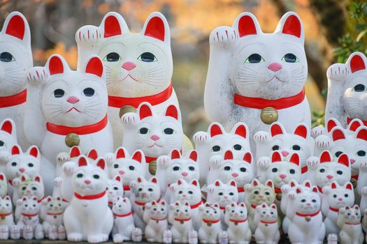 Image of invited cat (Tokyo, Gotokuji). Shooting Location: Tokyo metropolitan area