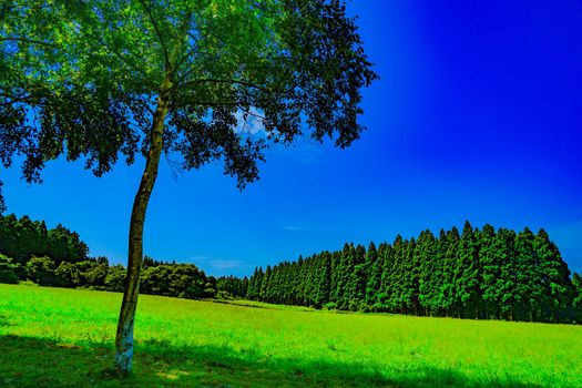 Torapist abroad entrance. Shooting Location: Hokuto City Hokkaido
