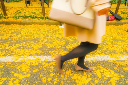 Jingu Gengui Chi-san Ginkgo and People Feet. Shooting Location: Tokyo metropolitan area