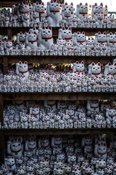 Image of invited cat (Tokyo, Gotokuji). Shooting Location: Tokyo metropolitan area