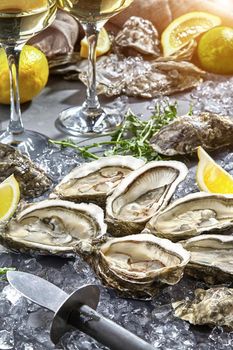 Gourmet raw French oysters Fine de Claire served in open shells on ice with lemon and white wine. Delicious seafood appetizer