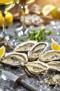 Closeup of fresh open oysters on ice with lemon wedges on blurred background with two glasses of white wine. Romantic dinner with seafood delicacies