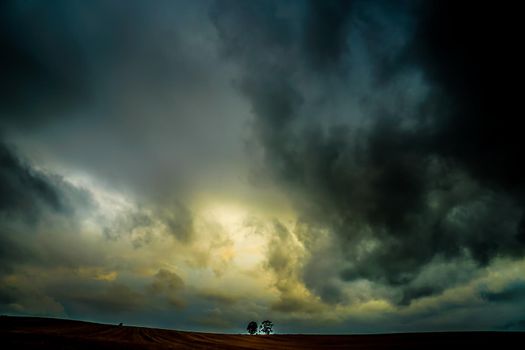 Silhouette of parent and child tree. Shooting Location: Hokkaido Biei-cho