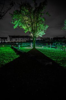 Silhouette of green tree. Shooting Location: Yokohama-city kanagawa prefecture