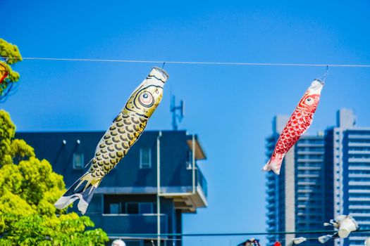 Blue sky and carp streamer. Shooting Location: Yokohama-city kanagawa prefecture