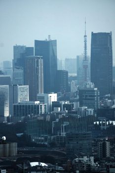 A view from the Observatory of Tokyo Metropolitan Office. Shooting Location: Tokyo metropolitan area