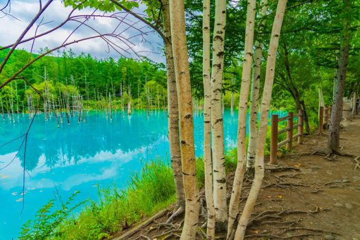 Platinum Blue Pond (Hokkaido Biei-cho). Shooting Location: Hokkaido Biei-cho