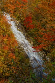 Shakunage waterfall and autumn leaves (Shimanto Lake). Shooting Location: Gunma Prefecture