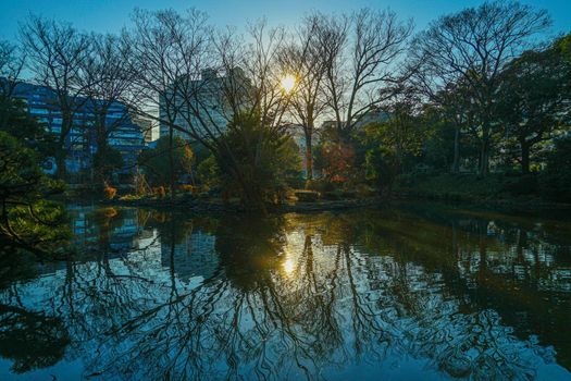 Arisugawa Park and autumn leaves. Shooting Location: Tokyo metropolitan area