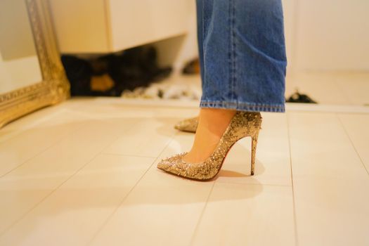 Woman wearing luxury high heels. Shooting Location: Tokyo metropolitan area
