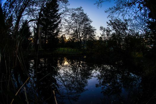 Silhouette of evening scenery and forest (Sendai / Glacial forest). Shooting Location: Sendai, Miyagi Prefecture