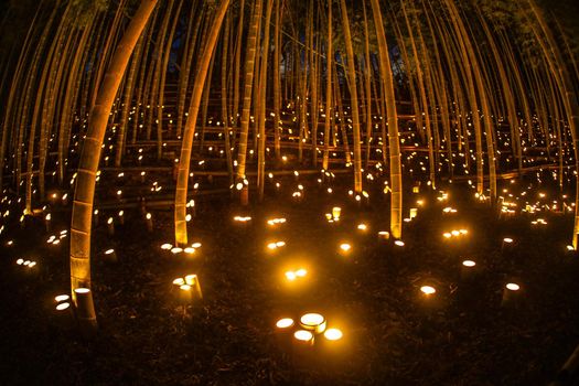 Bamboo Light Up (Koishi Castle Citizen Forest). Shooting Location: Yokohama-city kanagawa prefecture