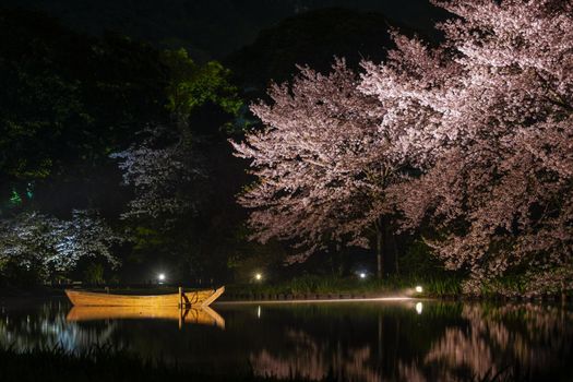 Sankeien Night Sakura. Shooting Location: Yokohama-city kanagawa prefecture