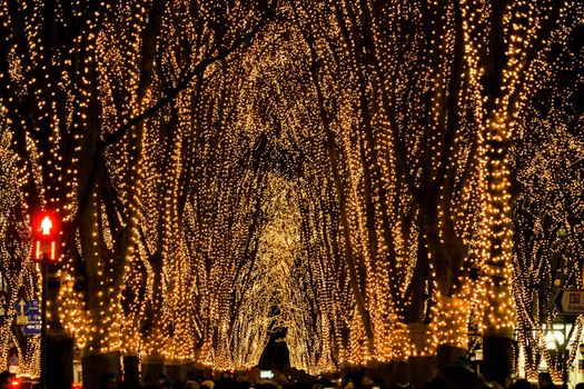 Night view of the light of light of Sendai Jinjoji Street. Shooting Location: Sendai, Miyagi Prefecture