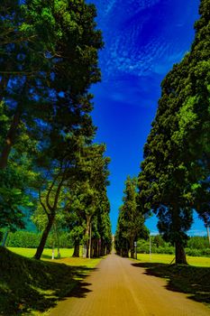 Torapist abroad entrance. Shooting Location: Hokuto City Hokkaido