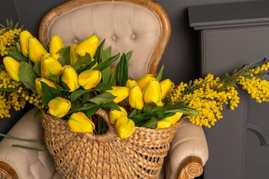 A large bouquet of yellow tulips and a yellow mimosa in a wicker basket. The basket sits on a beige chair against a gray wall