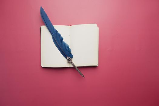 a open book and a fountain pen on ted background .