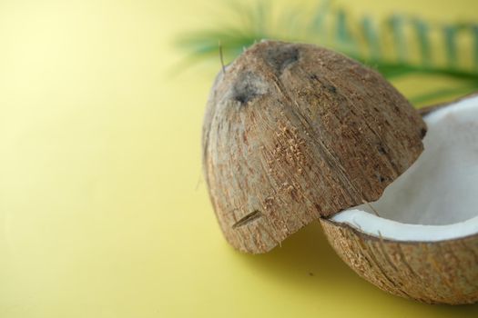 slice of fresh coconut on a table cloth .