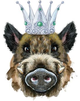 Cute piggy in silver crown. Wild boar for T-shirt graphics. Watercolor brown boar illustration