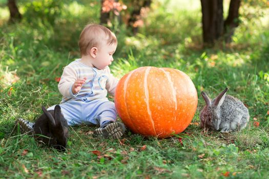 kids play to the rabbit and squash