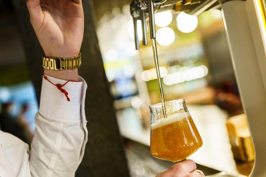 Unrecognizable male bartender pouring cold beer from tap into glass goblet during work in bar