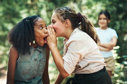 Shot of two teenage girls gossiping about their friend at summer camp