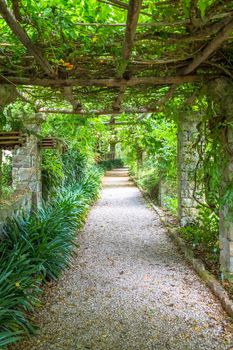 Garden with Pergola structure with bright colors during late summer season. This architecture and design have been inspired by the nature.