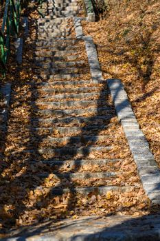 A steep and long stairway with granite brick steps leads up a hill and is covered with a large amount of autumn foliage.