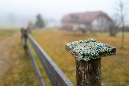 An old wooden fence covered in moss at a farm in a foggy landscape.