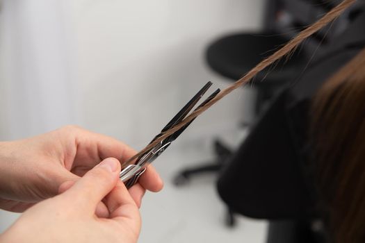 Professional hair stylist holding comb and hot thermal scissors cutting tips of long straight hair lock closeup. Hairdresser salon, barber shop, perfect look, modern technique, new hairdo concept.