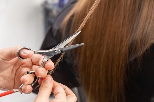 Professional hair stylist holding comb and hot thermal scissors cutting tips of long straight hair lock closeup. Hairdresser salon, barber shop, perfect look, modern technique, new hairdo concept.