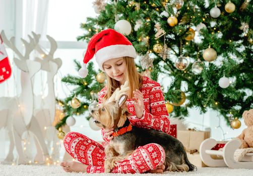 Child girl and dog with Christmas tree on background at home. Kid wearing on doggy pet decorated deer New Year ears