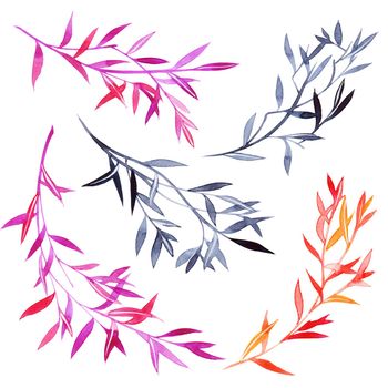 Watercolor illustration of leaves on white background