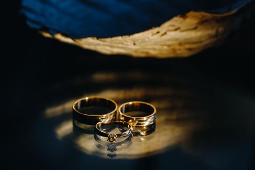 A pair of gold wedding rings.Two wedding rings.