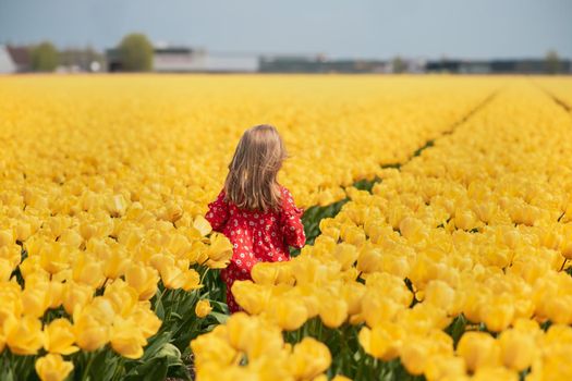 Happy girl running in a yellow tulip field