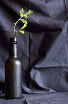 One glass black bottle with green twig against nice dark textile background