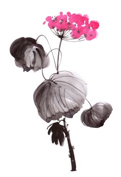 Watercolor and ink illustration of blossom geranium - oriental traditional painting sumi-e or gohua