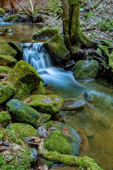 Small forest creek in a woodland, long exposure photo, Vysocina, Highland Czech Republic, Europe