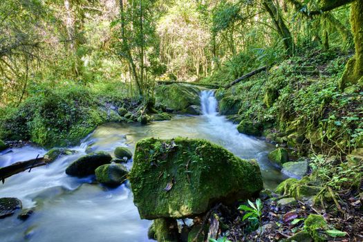 Small wild mountain river Rio Savegre, long exposure and milky water. Stunning landscape of wilderness and pure nature. San Gerardo de Dota, Costa Rica.