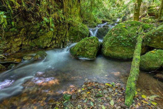 Small wild mountain river Rio Savegre, long exposure and milky water. Stunning landscape of wilderness and pure nature. San Gerardo de Dota, Costa Rica.