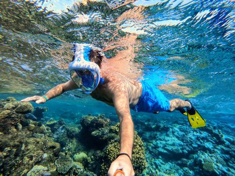 Snorkel swim in coral reef in red sea. Exotic tropics paradise with fish. Marsa alam, Egypt. Summer holiday vacation concept