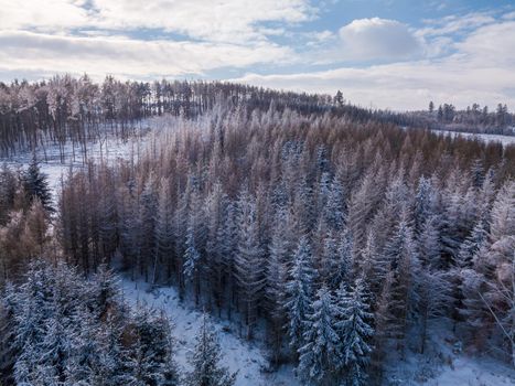 Aerial view of winter landscape covered by snow in sunny day. Czech Republic, Vysocina region highland