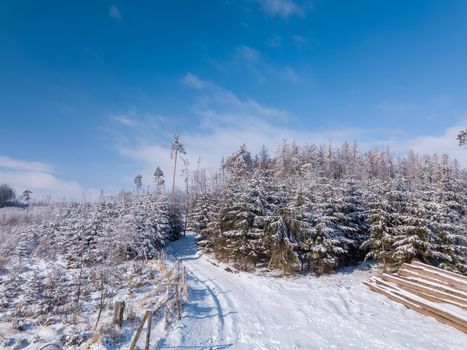 Aerial view of winter landscape covered by snow in sunny day. Czech Republic, Vysocina region highland