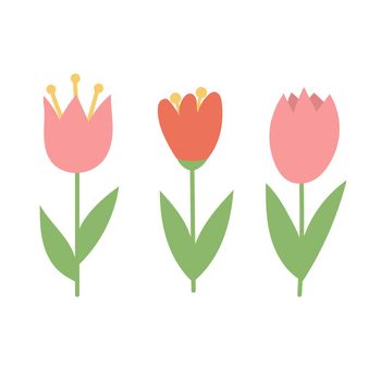 Simple cartoon icons on white background - tulip blooms. 8 March. Women spring day