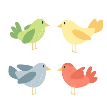 Cute bird animal - cartoon vector in hand drawn simple style on white. Set of icons
