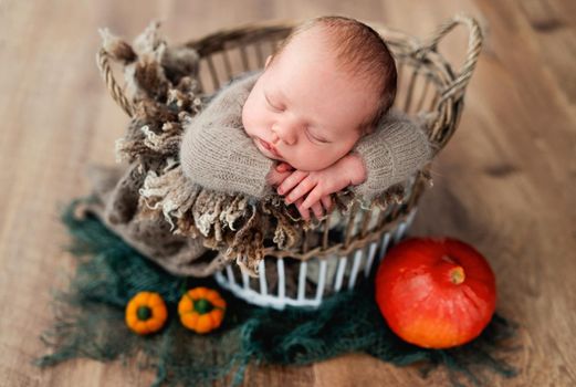 Newborn baby boy sleeping in basket decorated with pumpkins. Infant kid napping halloween portrait
