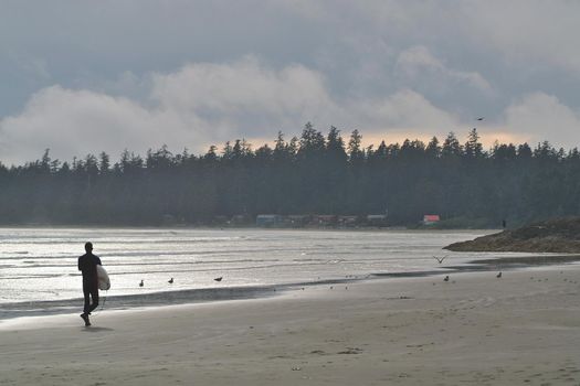 A Surfer Carries his Board Along the Beach in Tofino British Columbia in Canada. High quality photo