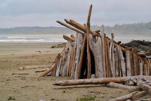 A Large Driftwood Shelter Built on the Beach in Tofino. High quality photo
